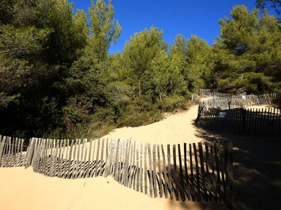 vue de la dune de sable et des protections anti érosion