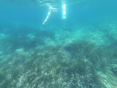 plongeur devant un panneau immergé