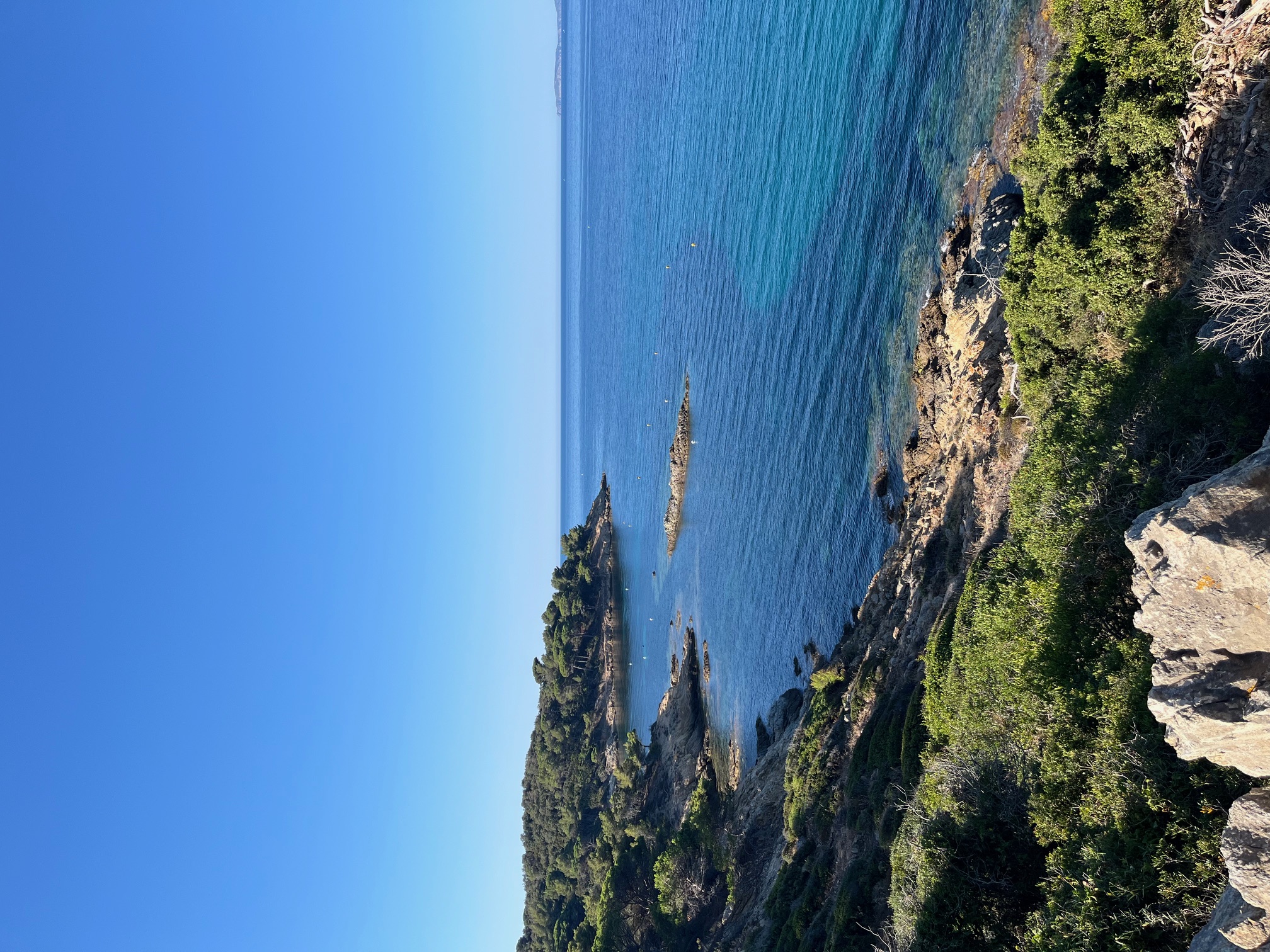 vue de loin, ilot du crocodile