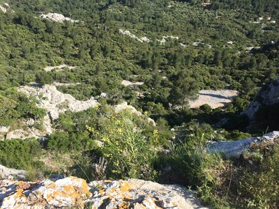 Vue sur toute la végétation verdoyante environnante en contrebas de la falaise
