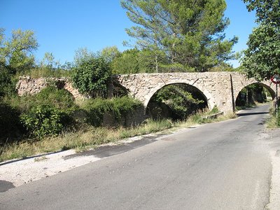 Vue d'une partie de l'aqueduc en pierres apparentes entouré, en partie, de végétation