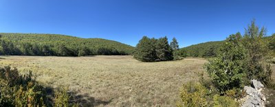 Vue sur une doline entourée de végétation