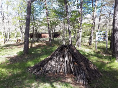 Reconstitution d'une charbonnière : bois déposé en pyramide