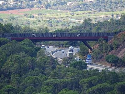 Ecoduc au-dessus d'une autoroute permettant le passage des animaux sauvages