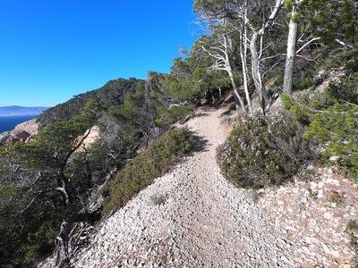 Sentier à flanc de colline entouré de végétation méditerranéenne avec un aperçu de la mer
