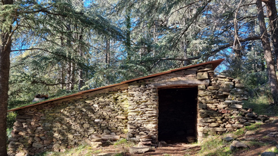 Cabanon en pierre au milieu de la forêt des cèdres