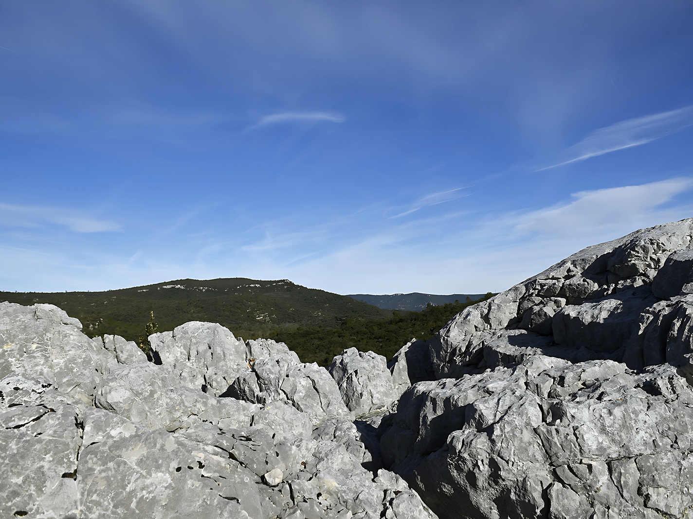 Vue sur les roches prédominantes et le massif forestier à l'arrière plan
