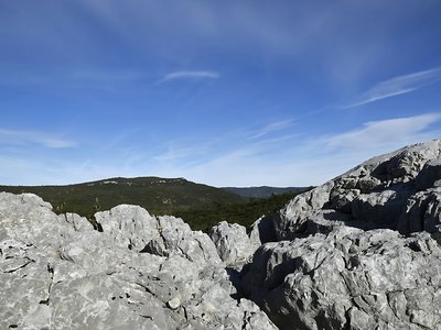 Vue sur les roches prédominantes et le massif forestier à l'arrière plan