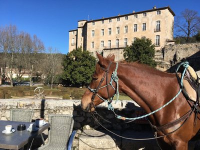 Cheval au repos sur une terrasse de café à Entrecasteaux avec le château et son jardin en arrière-plan
