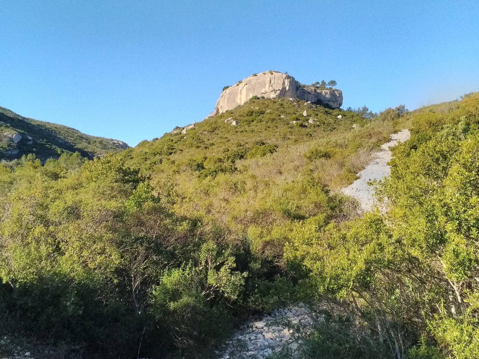 Vue dégagée sur un rocher entouré par la végétation verdoyante