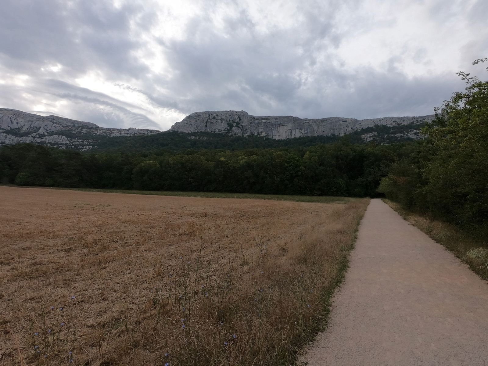 Panaroma sur le massif avec de la végétation au pied et une partie supérieure rocheuse