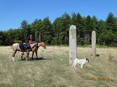Cavalier et 2 chevaux à côté des menhirs des Lamberts au milieu d'une prairie