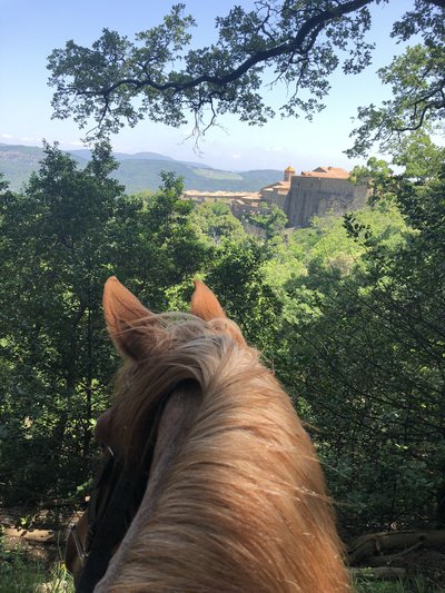 Vue sur la Chartreuse avec l'encolure d'un cheval en premier plan