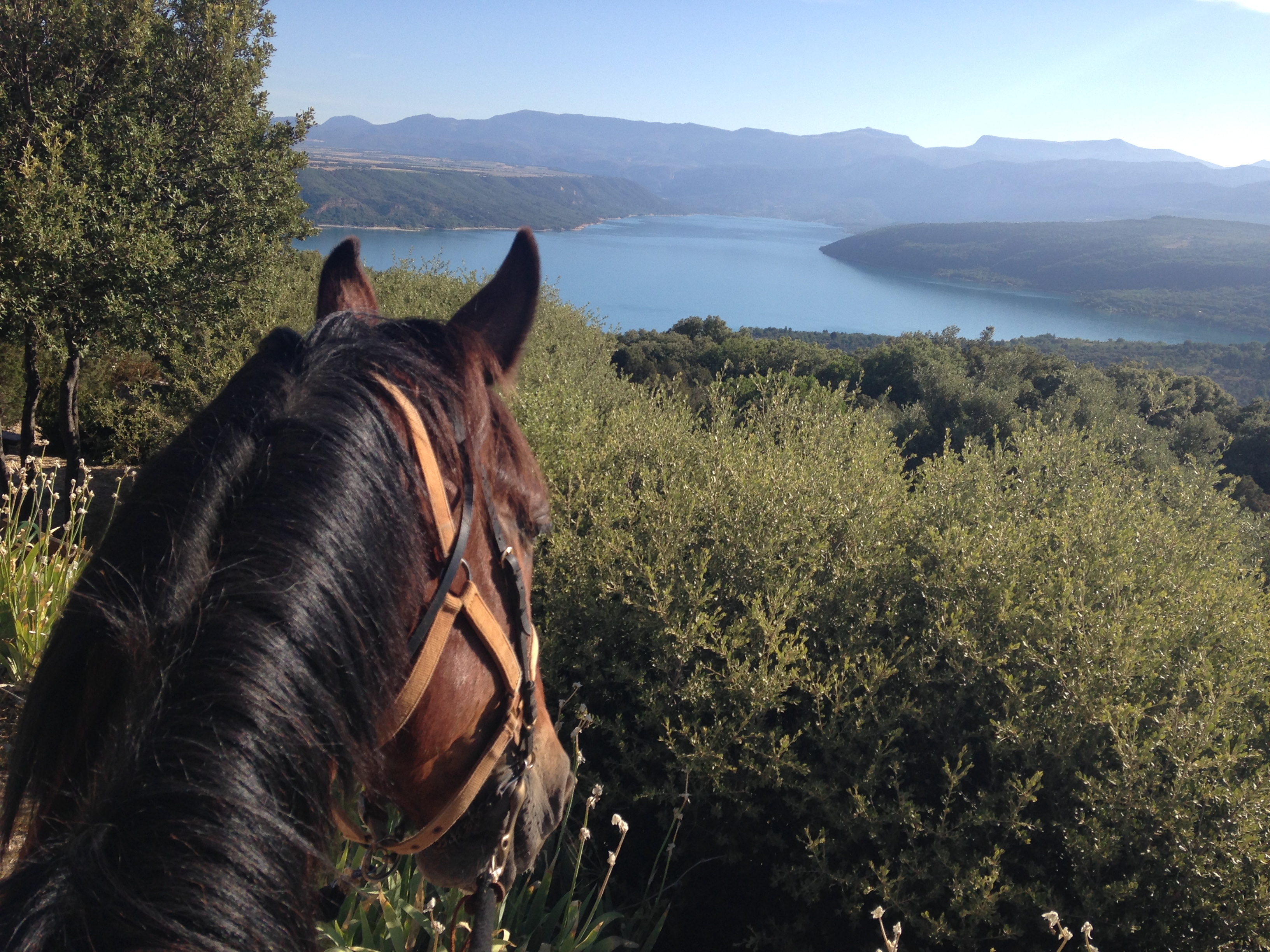 Vue d'un cavalier sur les gorges du Verdon