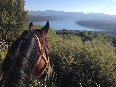 Vue d'un cavalier sur les gorges du Verdon