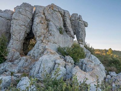 Zoom sur le rocher ressemblant à un éléphant avec la garrigue en arrière plan