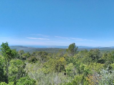 Panorama sur la végétation verdoyante et les collines environnantes