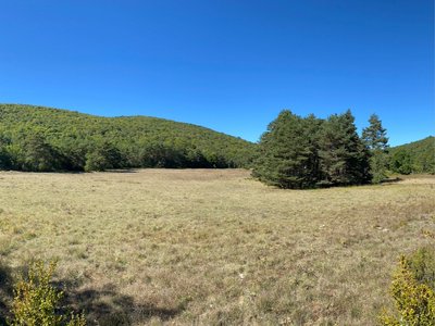 Vue sur une doline entourée de végétation