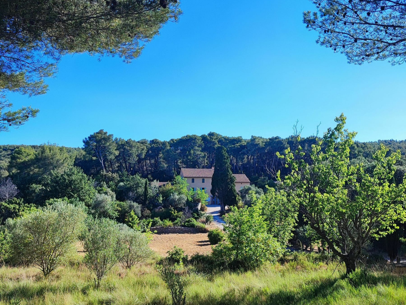 Vue sur la Maison de la Nature posée dans un écrin de verdure