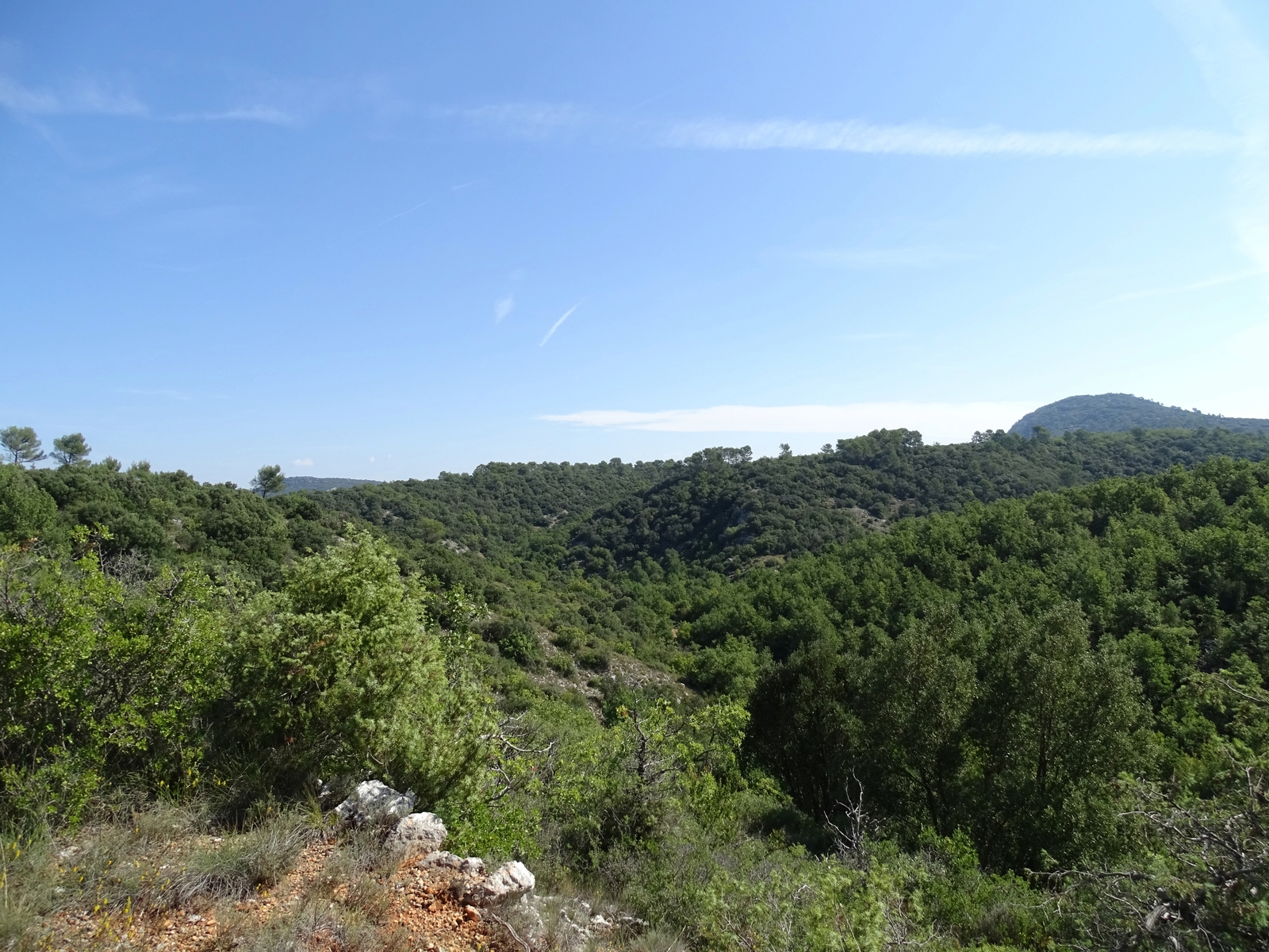Panorama sur les collines et la végétation verdoyante