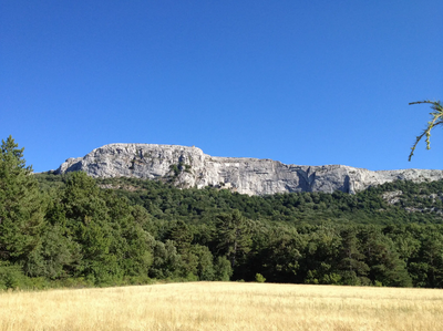 Contraste entre une prairie jaunie par le soleil, la végétation verdoyante et la barre rocheuse de la Ste Baume