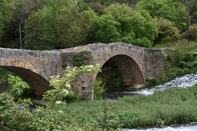 Pont en pierres avec 2 arcades entouré de végétation verdoyante et de la rivière du Caramy