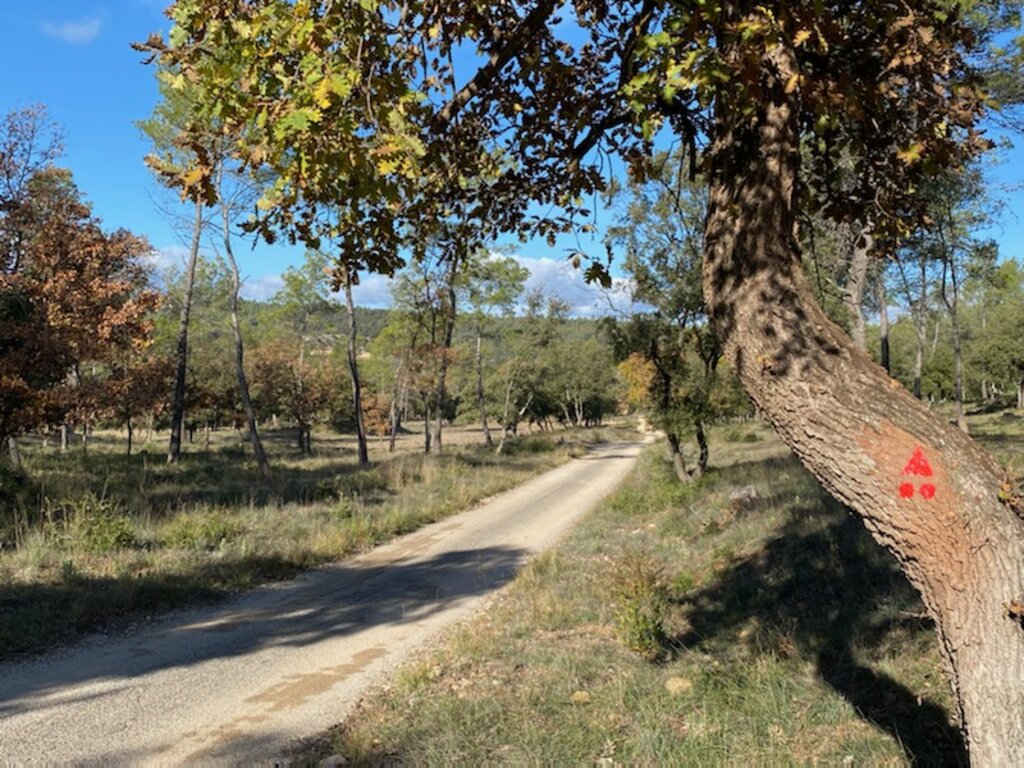 Sentier aux couleurs d'automne avec la trace du balisage rouge sur un chêne