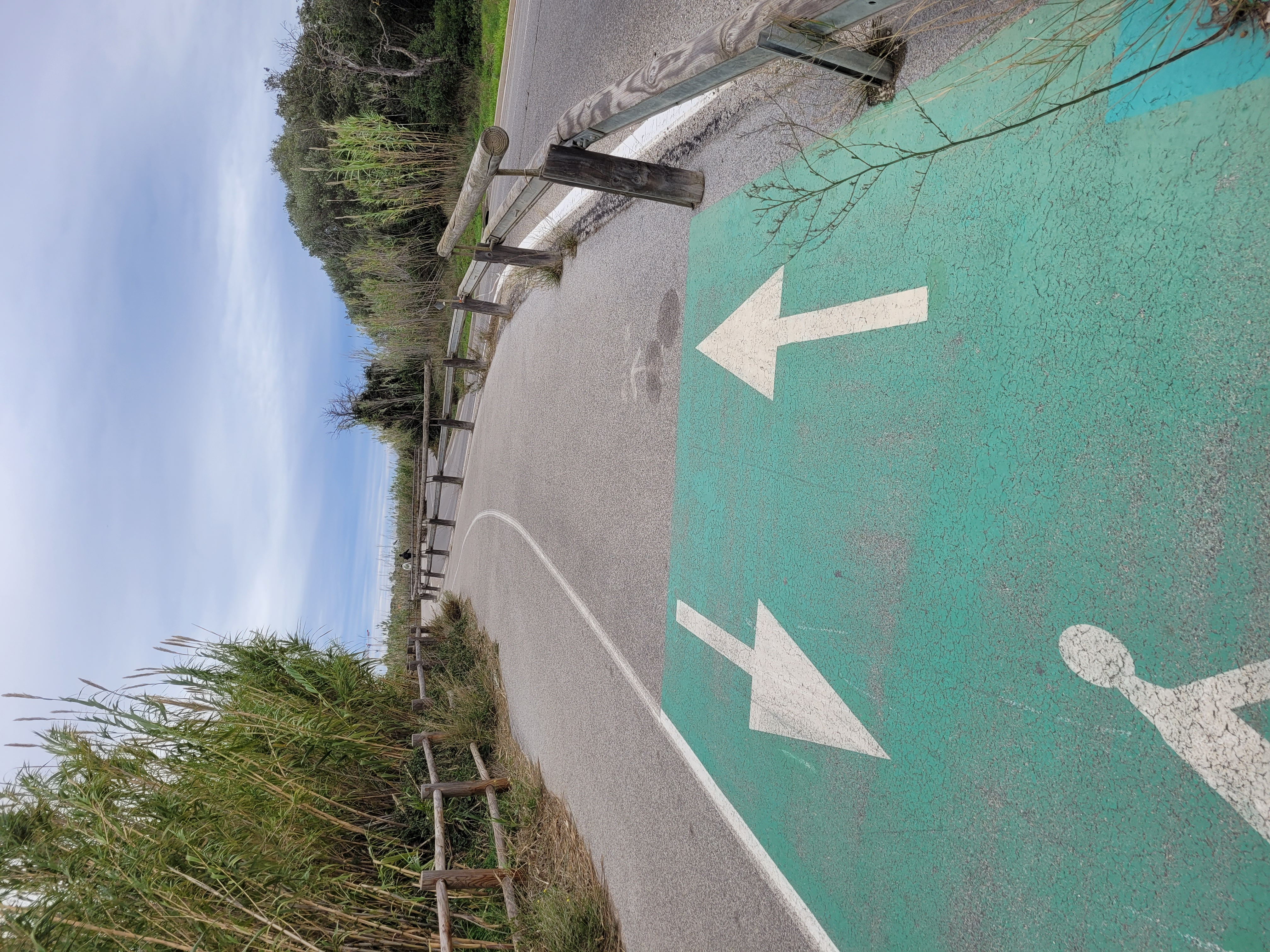 Piste cyclable avec vue sur la mer entourée de champs de bambous