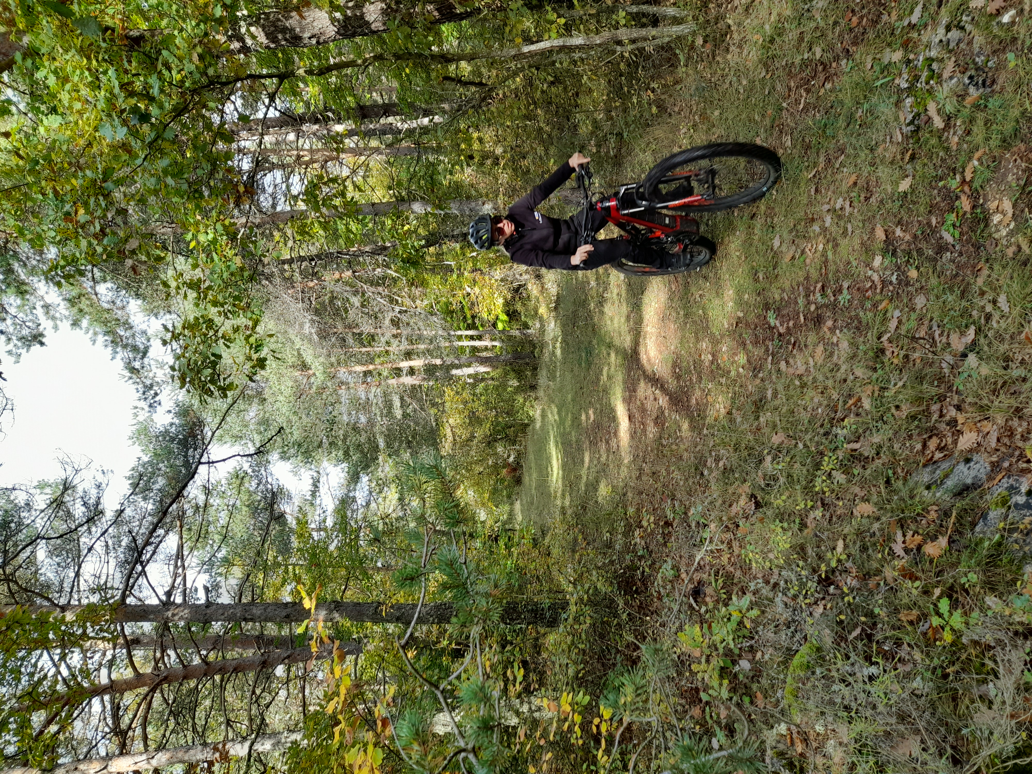 VTTiste roulant sur un petit sentier entouré de végétation