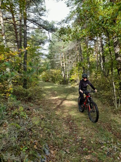 VTTiste roulant sur un petit sentier entouré de végétation